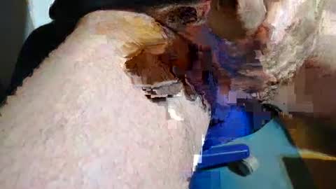rudi_rudi_rudi_rudi online show from 13, 7, 2026