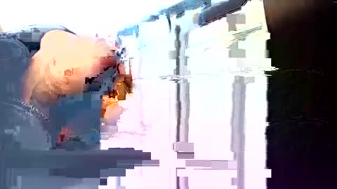 Snapshot of rushover63 chatting on 3, 3, 2025 rushover63 online show from 3, 3, 2025