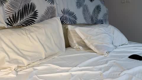 ryanstorm1 online show from 7, 2, 2026