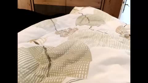 s_xp__ online show from 19, 12, 2025