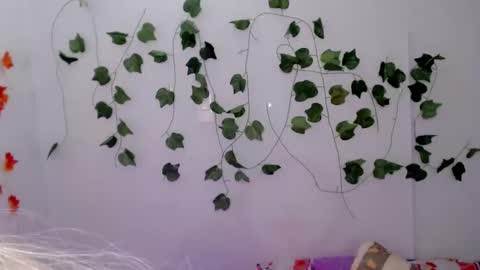 SABRI online show from 26, 1, 2025