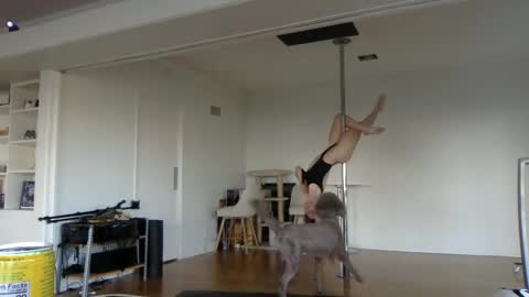 sadgirldies online show from 20, 2, 2025