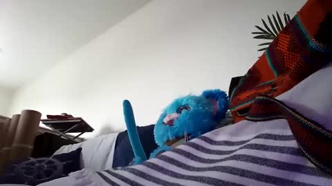 salis1981 online show from 25, 1, 2025