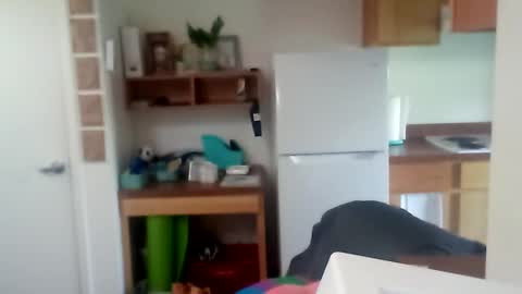 salis1981 online show from 27, 9, 2025