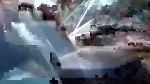 Snapshot of sam223382879 chatting on 25, 12, 2024 sam223382879 online show from 25, 12, 2024