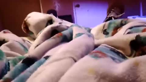 Snapshot of sam44444446 chatting on 27, 11, 2025 sam44444446 online show from 27, 11, 2025