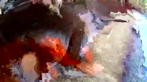 Snapshot of sam681820 chatting on 24, 11, 2025 sam681820 online show from 24, 11, 2025