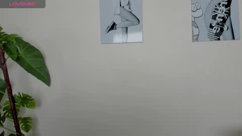 Samay online show from 23, 11, 2025