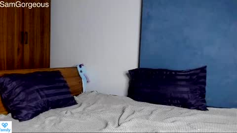 Snapshot of samgorgeous chatting on 9, 12, 2024 Fansly - Top4fans online show from 9, 12, 2024