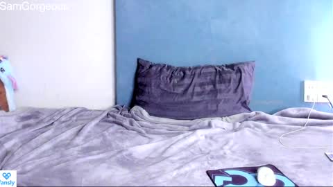 Snapshot of samgorgeous chatting on 15, 12, 2024 Fansly - Top4fans online show from 15, 12, 2024