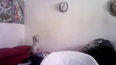 Snapshot of sammy_mcklain chatting on 1, 3, 2026 sammy_mcklain online show from 1, 3, 2026