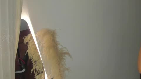 Snapshot of samy_jonnes_ chatting on 19, 2, 2025 Hello I am absent due to a family calamity I will return soon-hola estoy ausente por un problema familiar volvere pronto. online show from 19, 2, 2025