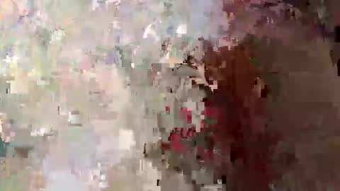 sanek7777 online show from 9, 10, 2025