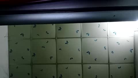 santichai561323 online show from 19, 2, 2025