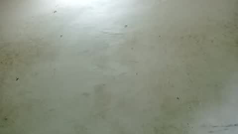 santichai561323 online show from 24, 2, 2025