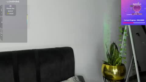 steph online show from 30, 11, 2025