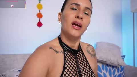   online show from 13, 3, 2026