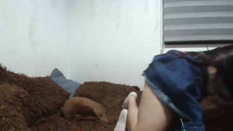 sara and thomas online show from 12, 1, 2025