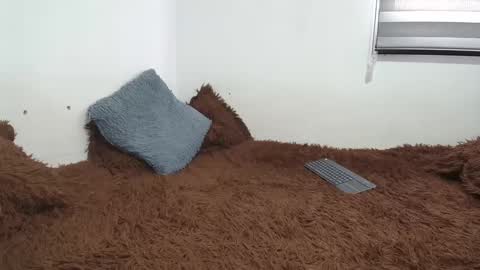 sara and thomas online show from 26, 2, 2025