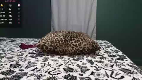 Snapshot of sarahsteveson chatting on 29, 6, 2026 Sarah Babes online show from 29, 6, 2026