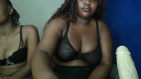 sassie_bee online show from 29, 9, 2025