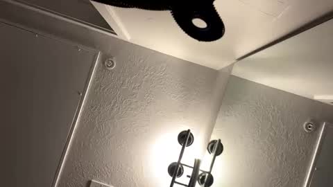 Snapshot of sassyseductive chatting on 3, 6, 2026 sassyseductive online show from 3, 6, 2026