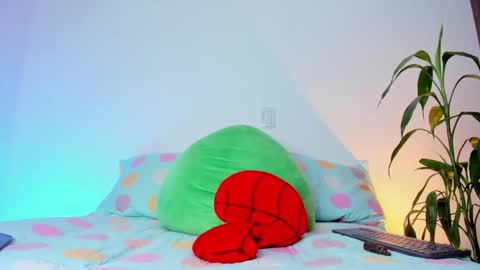     online show from 19, 11, 2025