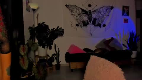 Snapshot of satomimori chatting on 5, 7, 2026 im Jessi Independet Model online show from 5, 7, 2026