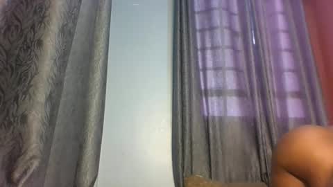 pety online show from 5, 4, 2026