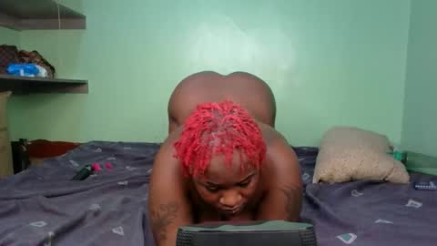 pety online show from 20, 5, 2026