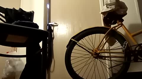 SnowBunny online show from 2, 1, 2025