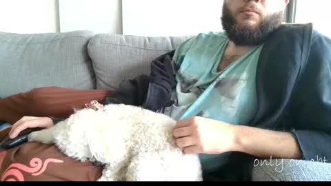 Ben online show from 11, 12, 2024