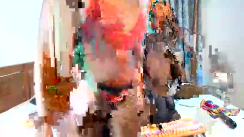 Candy and Lexxy online show from 4, 12, 2024