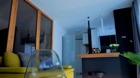 Wild influence online show from 29, 11, 2025