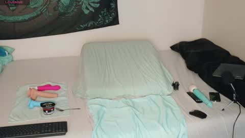 Bea online show from 29, 12, 2024