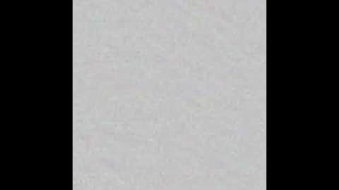 Snapshot of scalertt__steel_ chatting on 19, 10, 2025 Venus online show from 19, 10, 2025