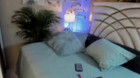 Snapshot of scarlet__hill chatting on 12, 1, 2025 scarlet hill online show from 12, 1, 2025