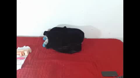 Snapshot of scarletfox__03 chatting on 12, 2, 2026 Scarletfox Fox online show from 12, 2, 2026