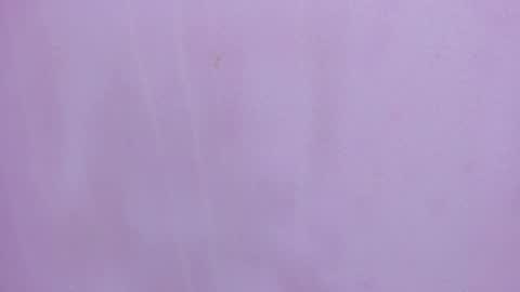 Scarlett 3 online show from 28, 2, 2026