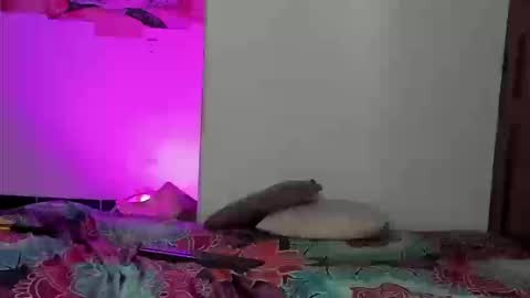 Scarlett online show from 16, 3, 2026