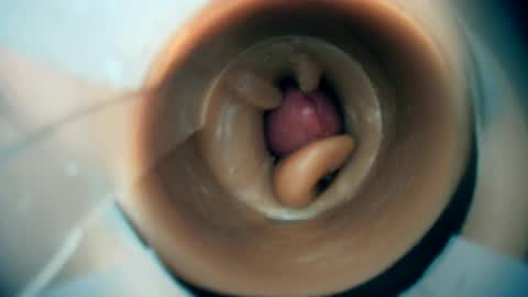 Scarr online show from 1, 3, 2026