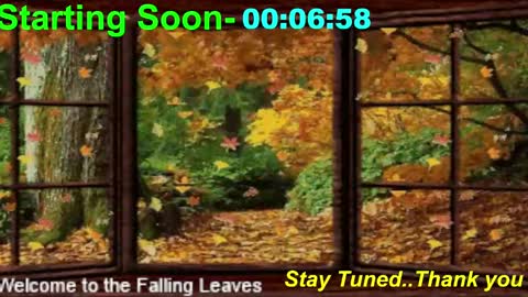 Snapshot of scifidiscoguy chatting on 10, 11, 2025 ...PHIL... online show from 10, 11, 2025