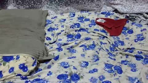 Snapshot of scorviaamanda254 chatting on 25, 1, 2025 Its Lilly online show from 25, 1, 2025