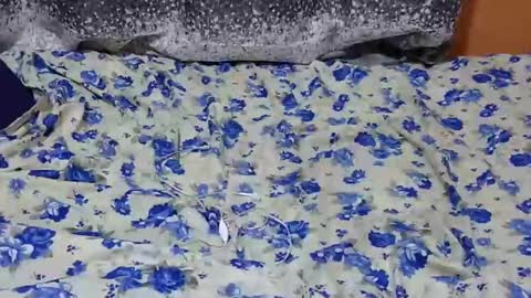 Snapshot of scorviaamanda254 chatting on 27, 1, 2025 Its Lilly online show from 27, 1, 2025