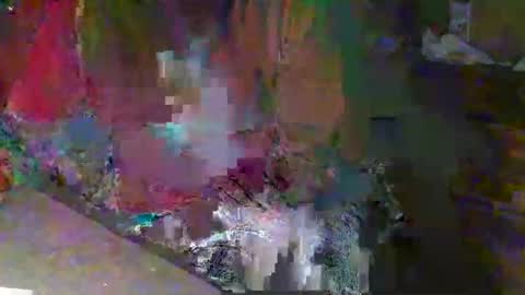 Snapshot of scotthard chatting on 23, 11, 2025 scotthard online show from 23, 11, 2025