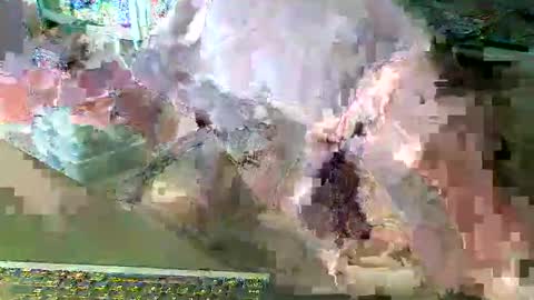 Snapshot of scotthard chatting on 14, 3, 2026 scotthard online show from 14, 3, 2026