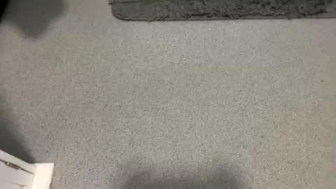 scottyc48 online show from 5, 10, 2025