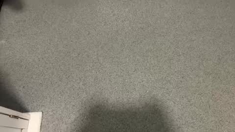 scottyc48 online show from 17, 12, 2025