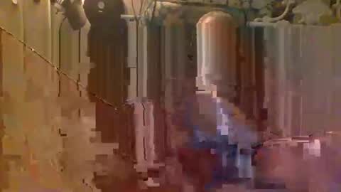 scoutiii online show from 4, 11, 2025