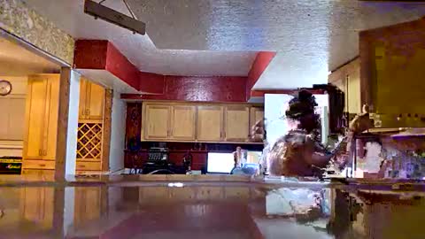 screwnutandbolte online show from 5, 12, 2025